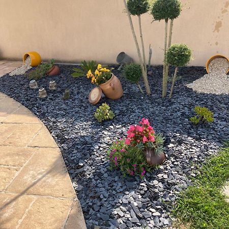 Petite Maison Dans Le Jardin Ars-en-Re Luaran gambar